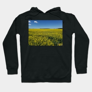 Canola field in bloom Hoodie